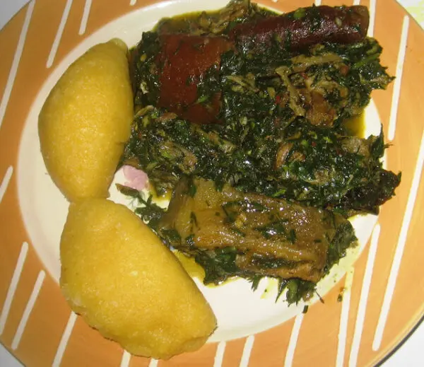 Afang Soup in a pot with assorted meat and fish, a traditional Efik and Ibibio soup from Cross River and Akwa Ibom states Nigeria
