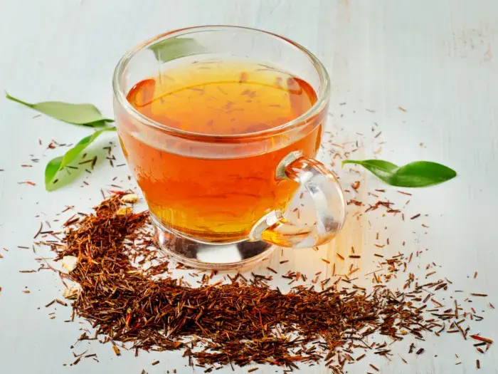A cup of red rooibos tea brewed from South African red bush leaves