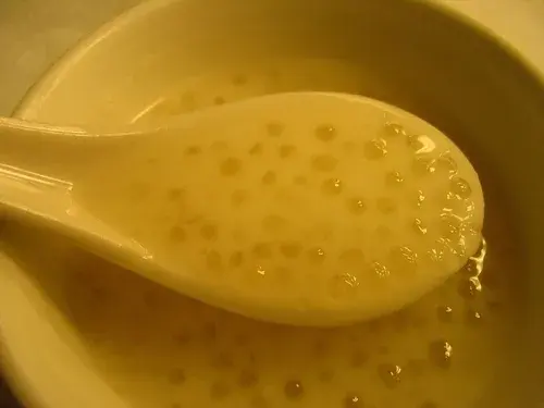 Sago pudding, translucent sago pearls cooked in milk with egg and vanilla