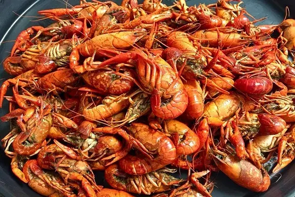 Crayfish - Seafoods