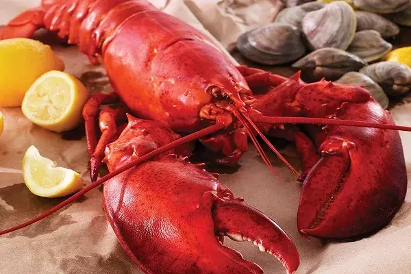 Lobsters seafoods