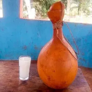 Palm wine