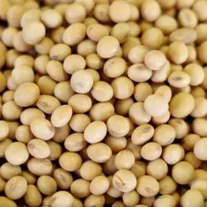 Soybeans