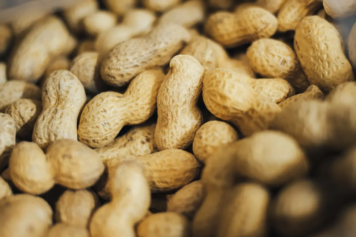 Peanuts - health benefits of nuts