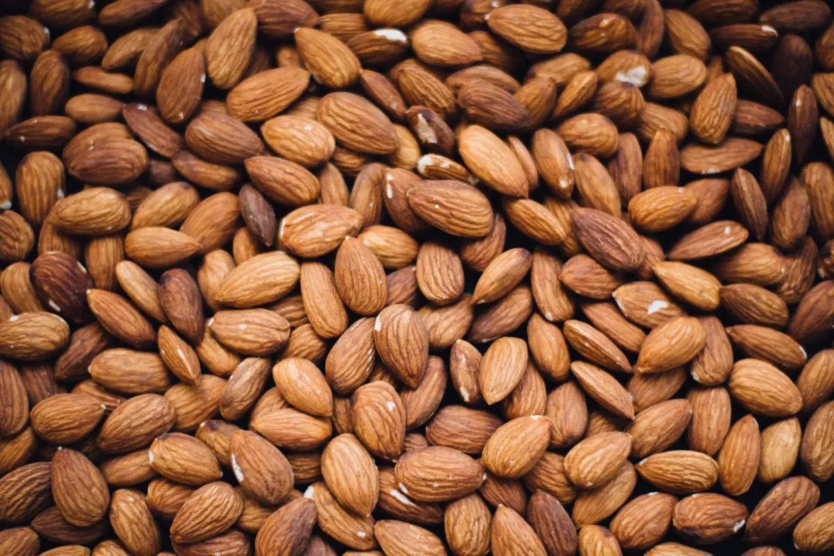 Almonds - health benefits of nuts