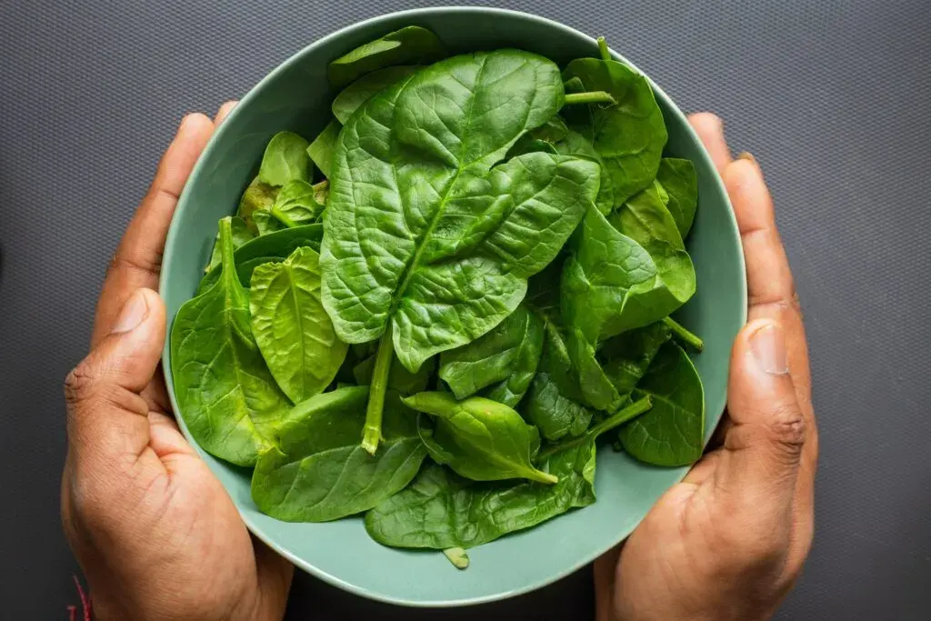 Spinach - fruits and vegetables