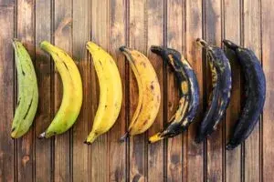 plantain-plantain dishes