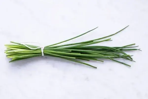 Chives - nutritional benefits of onion