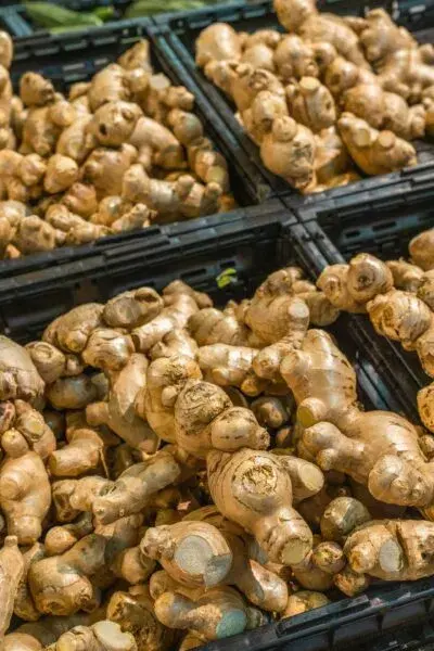 Ginger - uses of garlic and ginger