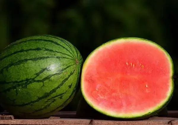 Seedless watermelons