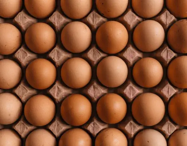 Eggs-food that help your hair grow