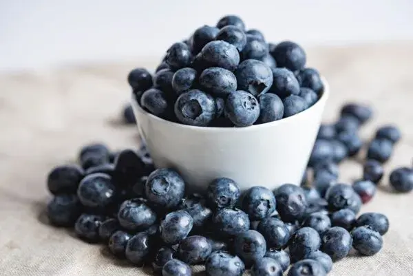 Blueberries - types of berries