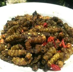Ifinkubala