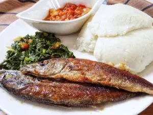 Zambian Fish Meal