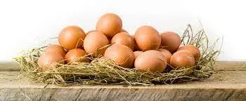 Health benefits of Eggs 