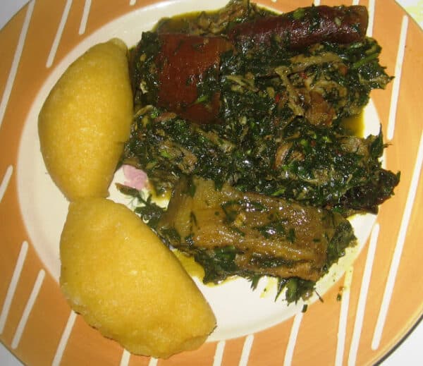 Afang Soup in a pot with assorted meat and fish, a traditional Efik and Ibibio soup from Cross River and Akwa Ibom states Nigeria