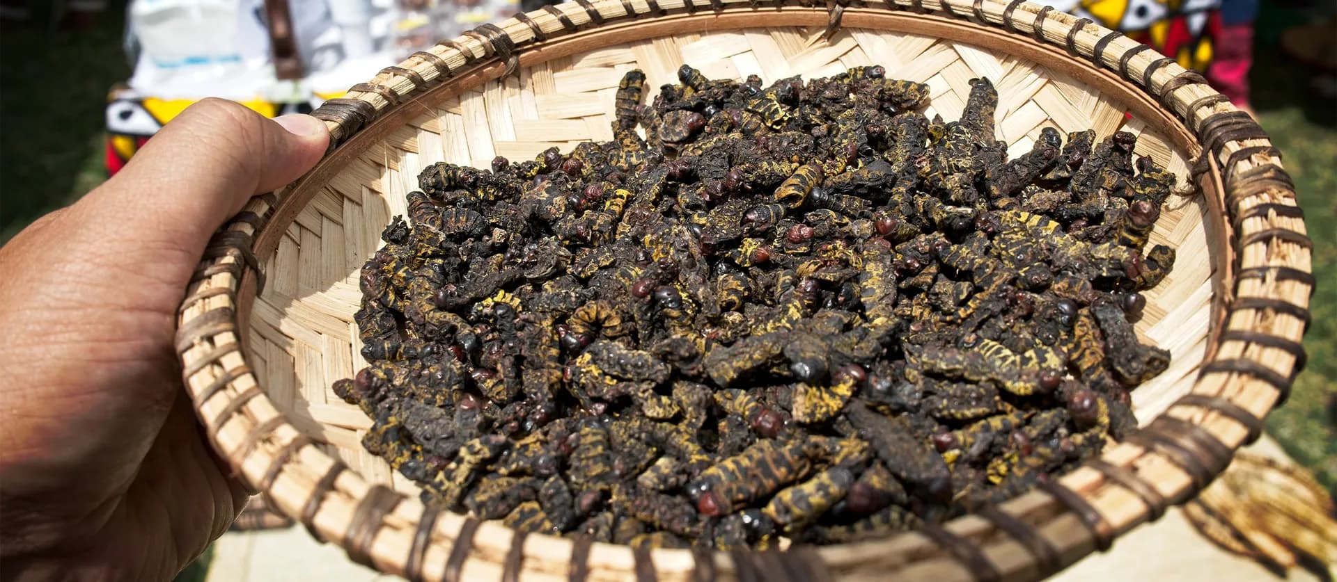 Catatos, Angolan fried caterpillars with onions, peppers and tomato
