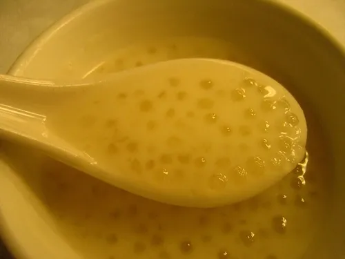 Sago pudding, translucent sago pearls cooked in milk with egg and vanilla