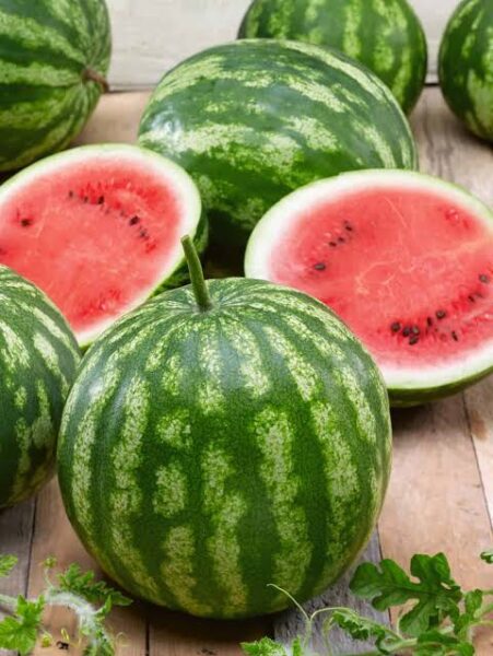 Cal sweet bush watermelon - varieties of watermelon