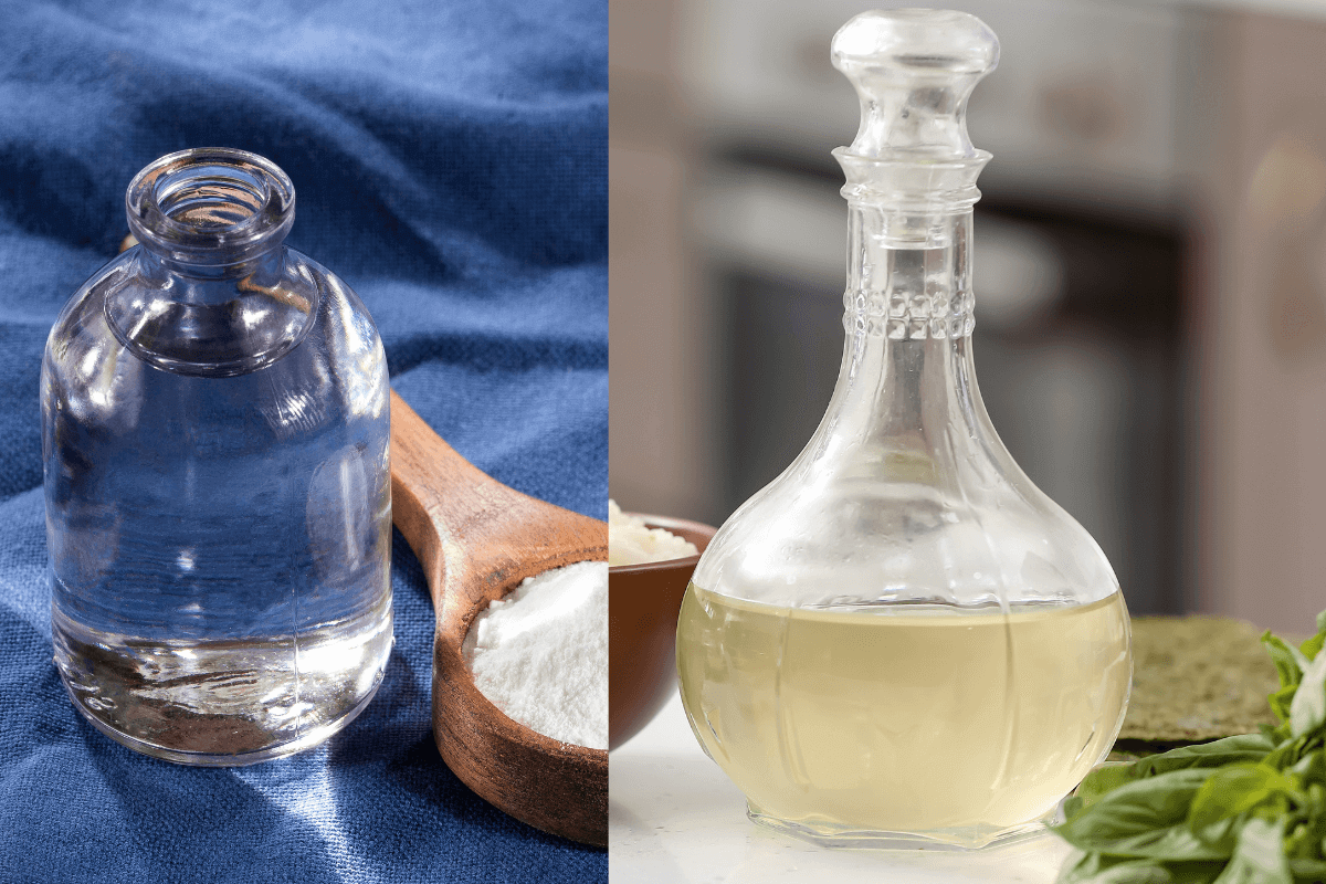 Major Differences Rice Vinegar versus White Vinegar African Food Network