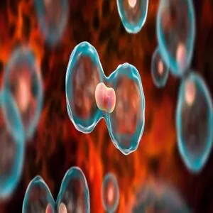 These Foods Increase Your Risk For Cancer 25 Cancer
