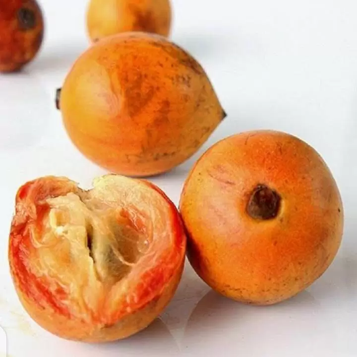 African Fruits And 5 New Ways You Can Enjoy Them 9 African Star Apple