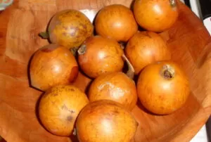 African Fruits And 5 New Ways You Can Enjoy Them 10 agbalumo-African fruits
