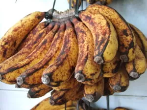 10 Types of Bananas I Bet You Never Knew Existed 10 Barangan_banana_