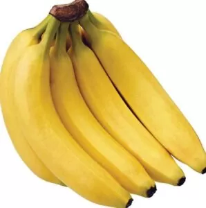 10 Types of Bananas I Bet You Never Knew Existed 3 cavendish banana