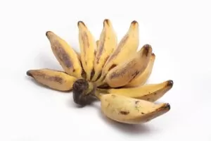 10 Types of Bananas I Bet You Never Knew Existed 12 silver bluggoe local banana Image credit Dreamstime
