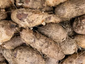 5 Incredible African Yam Dishes You Have To Try 6 yam imagess