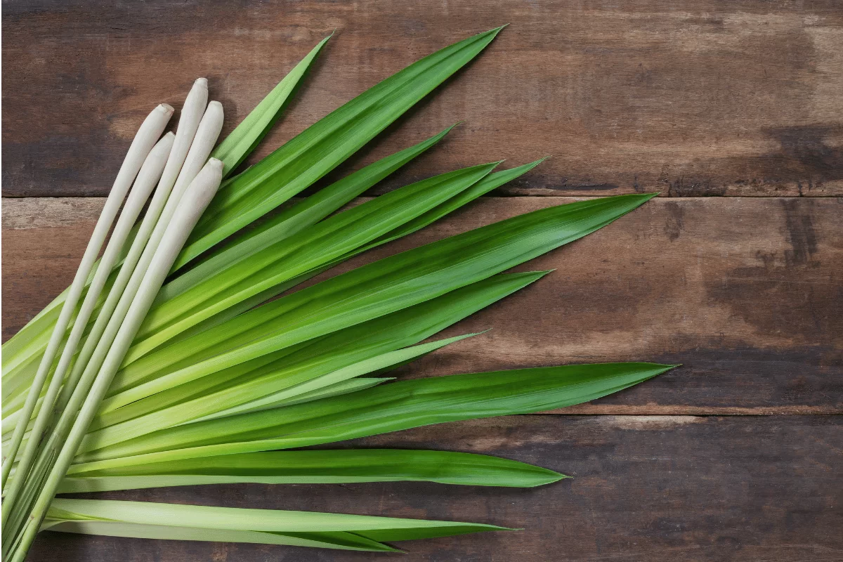 Lemongrass substitute